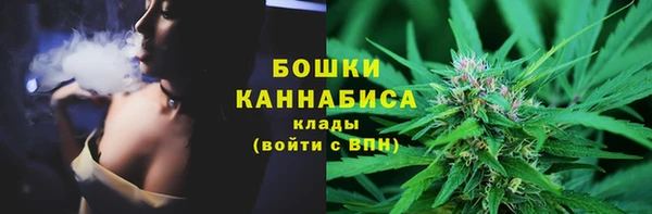 прущий лед Богданович