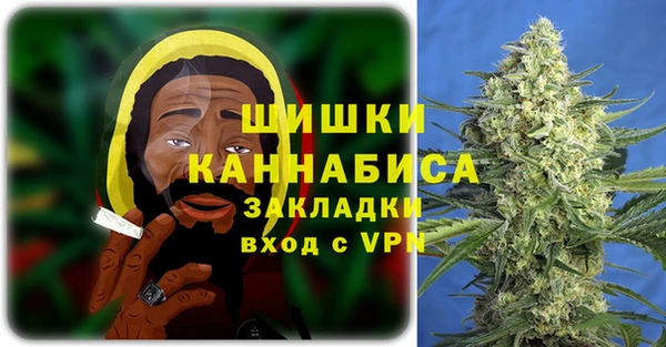 прущий лед Богданович