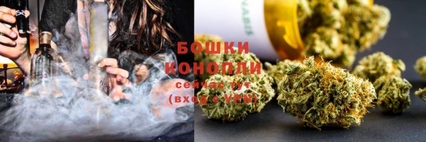 мдпв Богородицк
