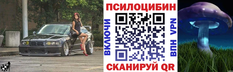 OMG ссылки  закладки  Боровичи  Псилоцибиновые грибы прущие грибы 